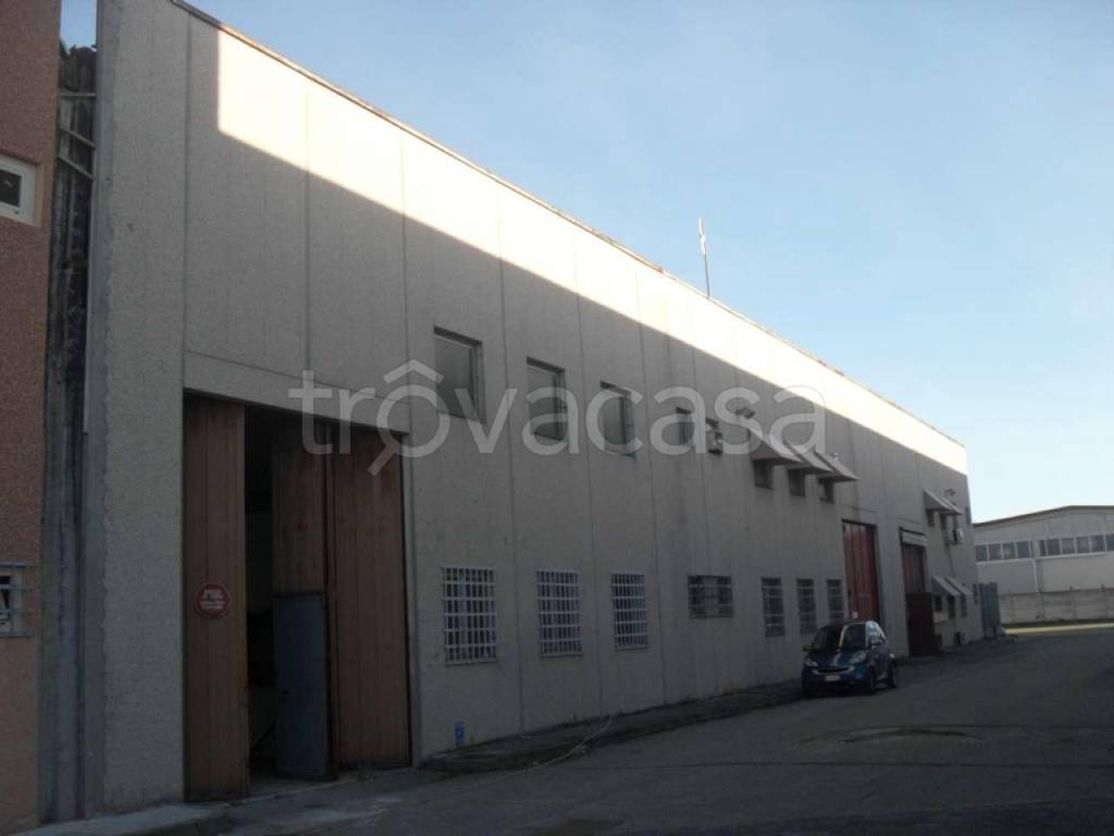 immagine annuncio 2 di 7