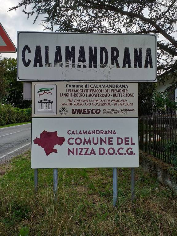 Terreno Agricolo in vendita a Calamandrana via Zoccola, 8