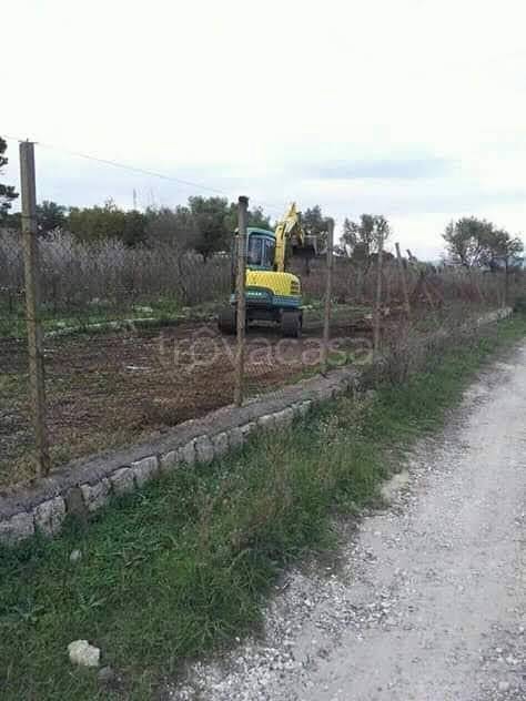 immagine annuncio 2 di 9