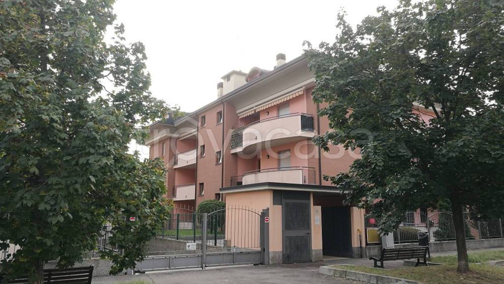 immagine annuncio 10 di 15