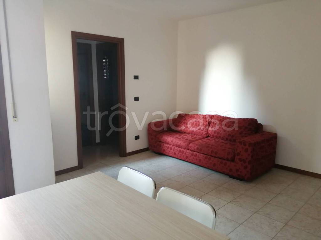 immagine annuncio 2 di 12