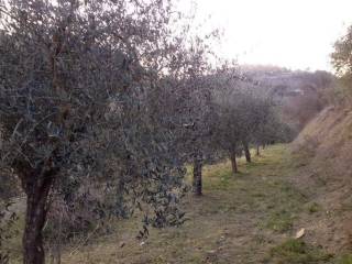 Terreno agricolo in vendita a perugia via del libeccio, 37