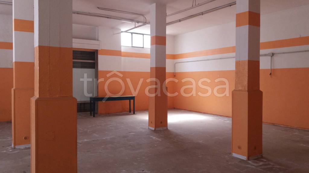immagine annuncio 2 di 6