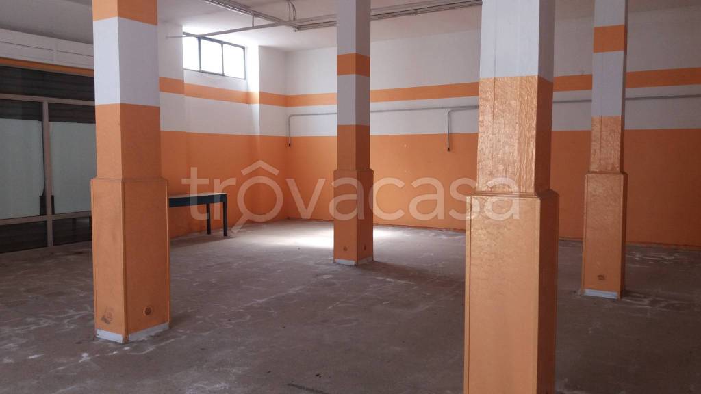 immagine annuncio 3 di 6