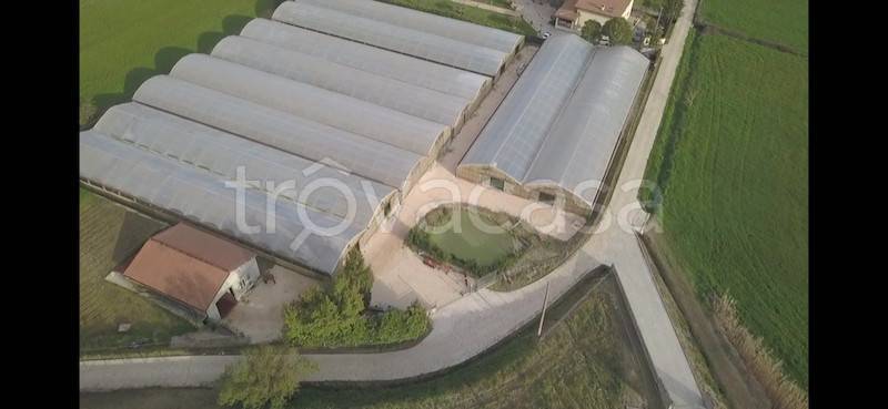Terreno Agricolo in vendita ad Anagni strada Provinciale Villamagna