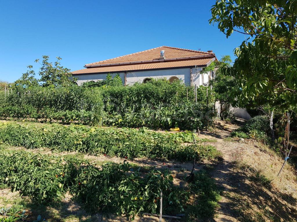 Villa Bifamiliare in in vendita da privato ad Acri contrada Pantano d'Olmo, 100