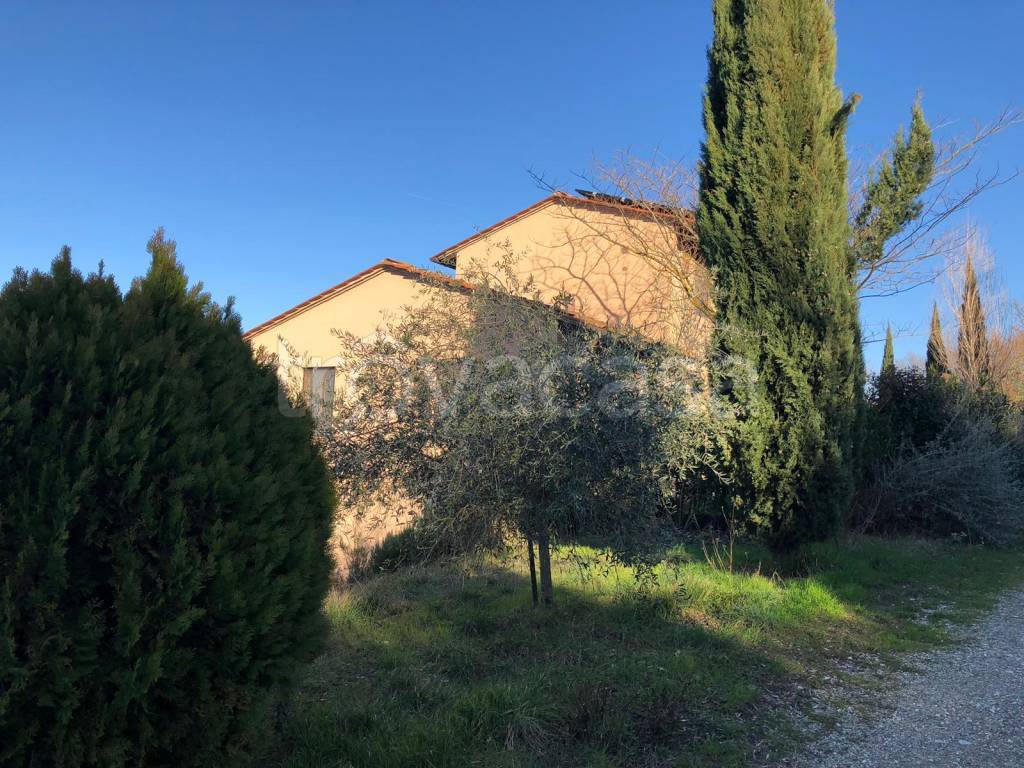 Azienda Agricola in vendita a Montespertoli via Castiglioni, 2