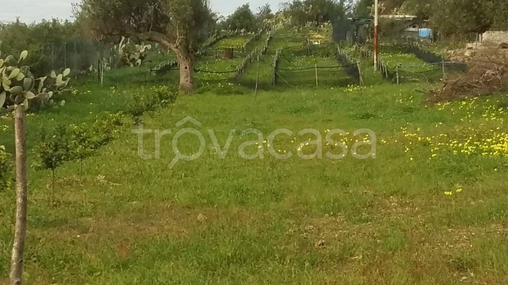 Terreno Agricolo in vendita a Lentini contrada Sabuci
