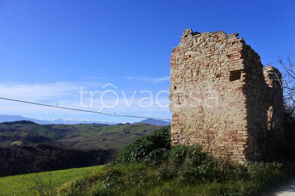 immagine annuncio 4 di 14