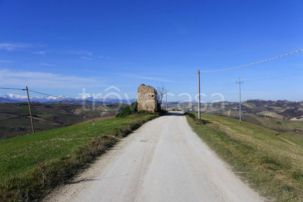 immagine annuncio 5 di 14