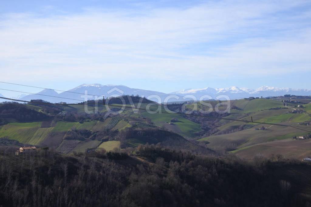 immagine annuncio 8 di 14