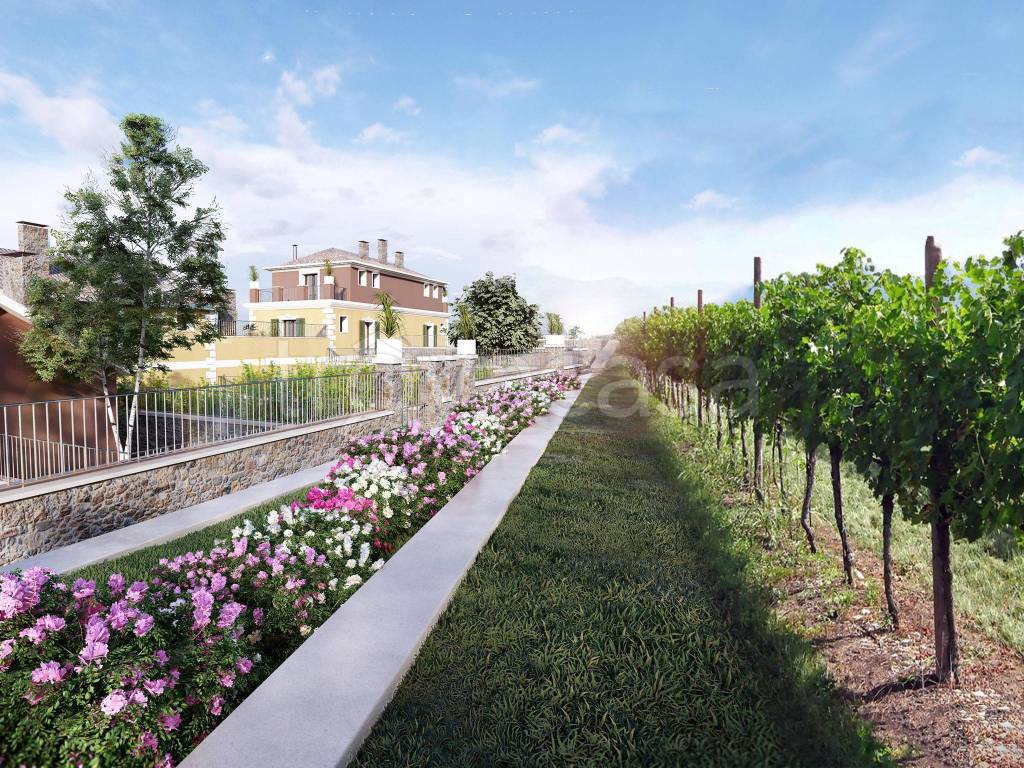 immagine annuncio 10 di 11