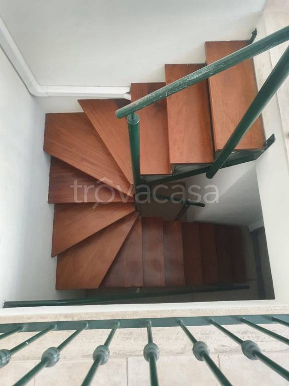 immagine annuncio 9 di 14