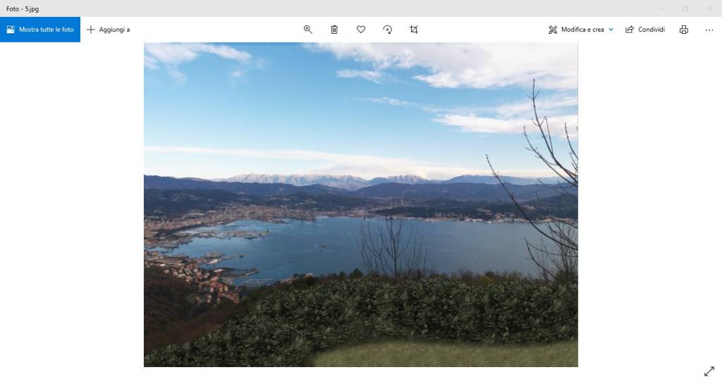 immagine annuncio 4 di 15