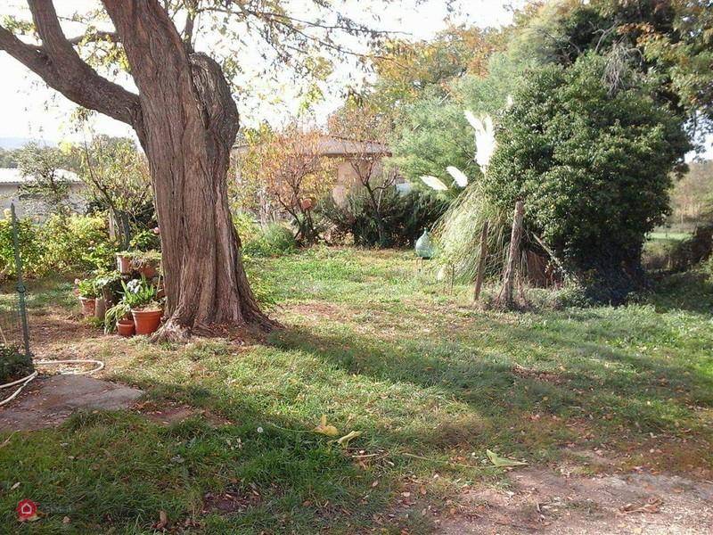 immagine annuncio 2 di 7