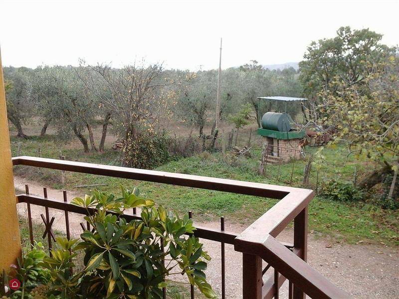 immagine annuncio 3 di 7