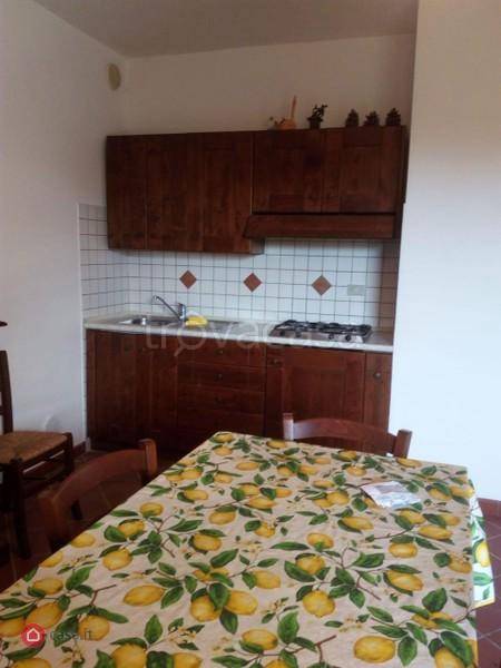 immagine annuncio 6 di 8