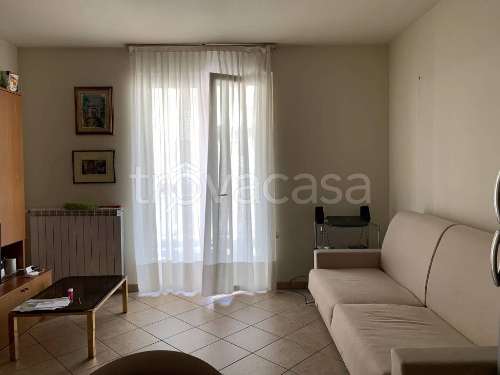 immagine annuncio 5 di 11