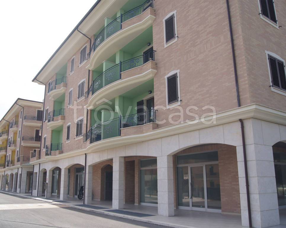 immagine annuncio 2 di 3