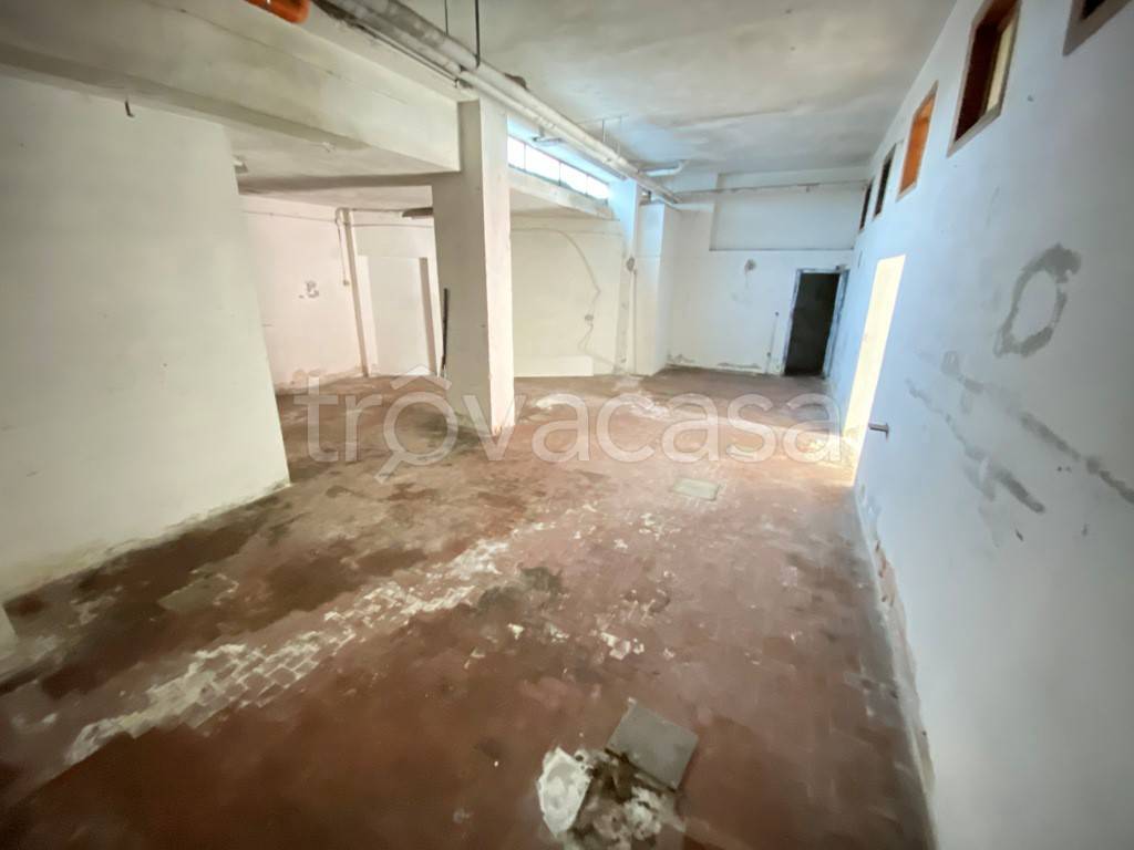 immagine annuncio 10 di 14