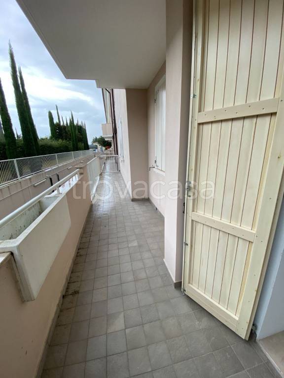 immagine annuncio 6 di 12