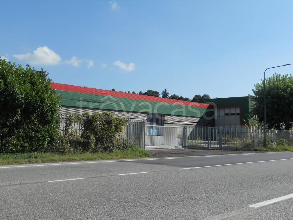 immagine annuncio 4 di 8