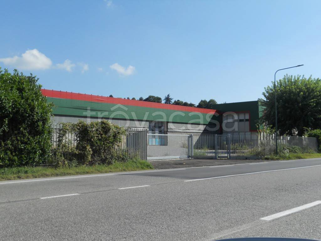 immagine annuncio 5 di 8