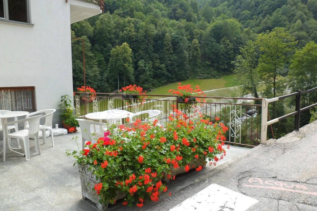 immagine annuncio 5 di 13