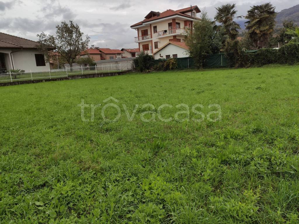 immagine annuncio 4 di 6