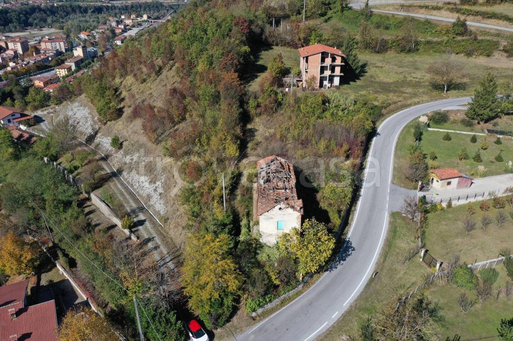 immagine annuncio 9 di 14