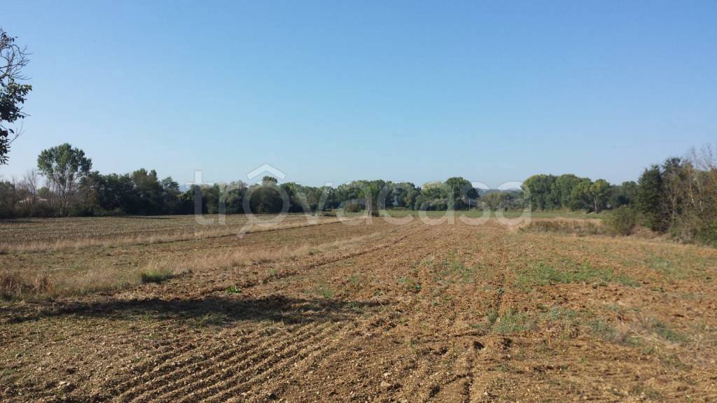 Terreno Agricolo in vendita a Corciano via della Democrazia
