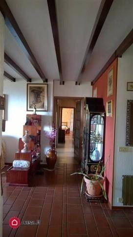 immagine annuncio 11 di 14