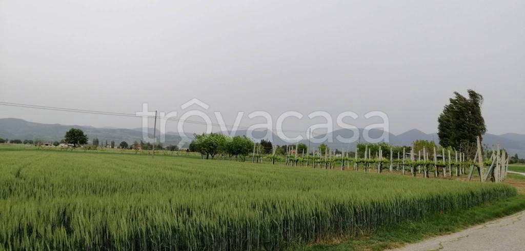 Terreno Agricolo in vendita a Foligno via Ramacciaie