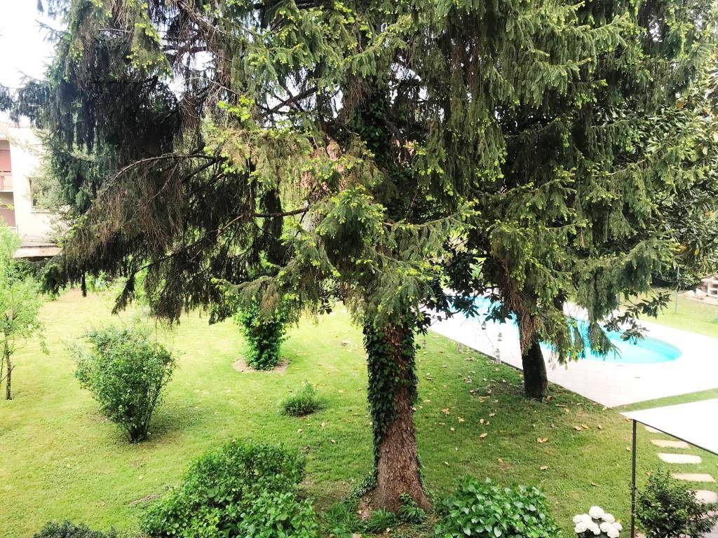 immagine annuncio 12 di 14