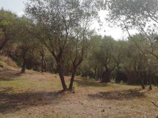 Terreno residenziale in vendita a ceccano via colle campanaro, snc