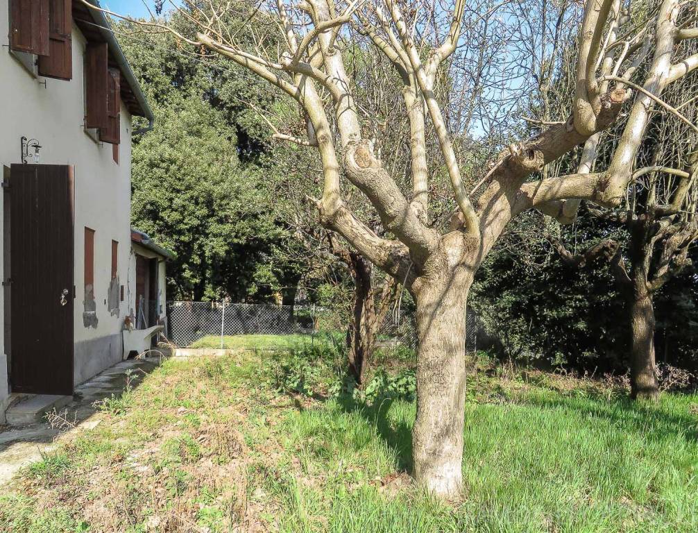 Casa Indipendente in vendita a Bertinoro via Volpe