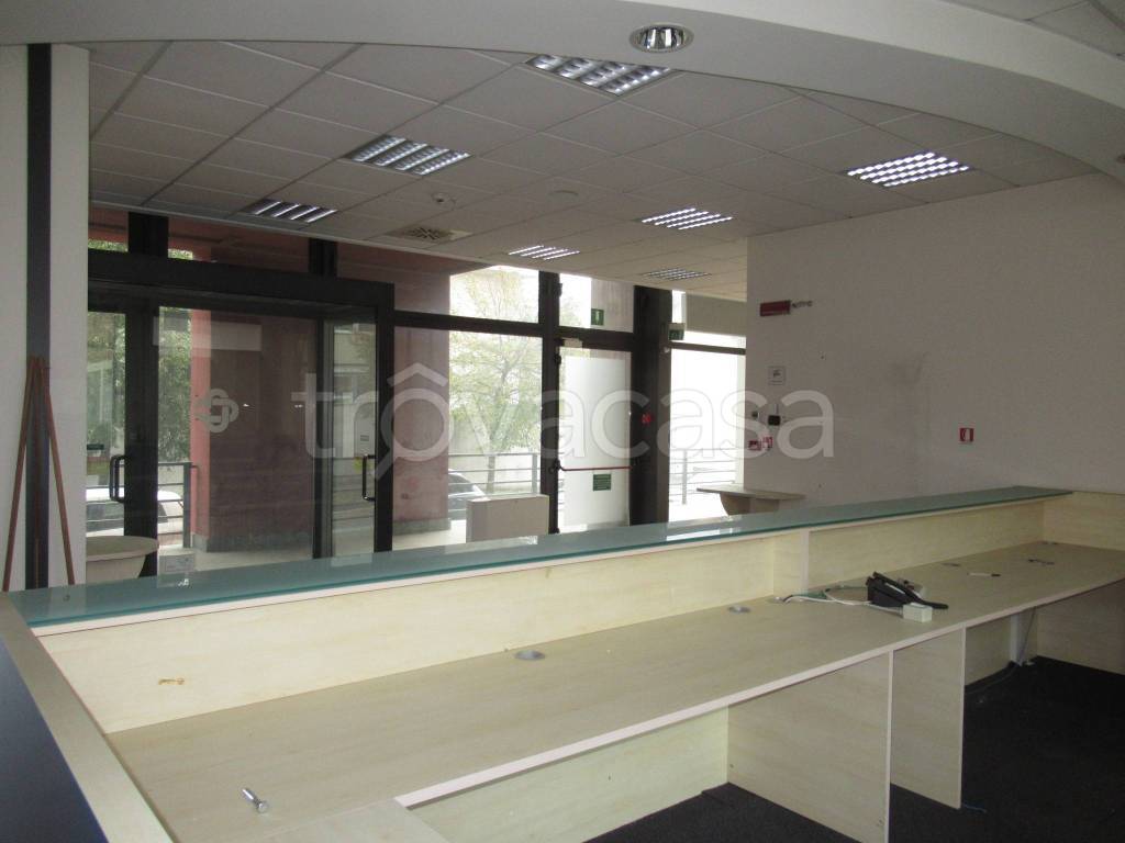 immagine annuncio 9 di 14