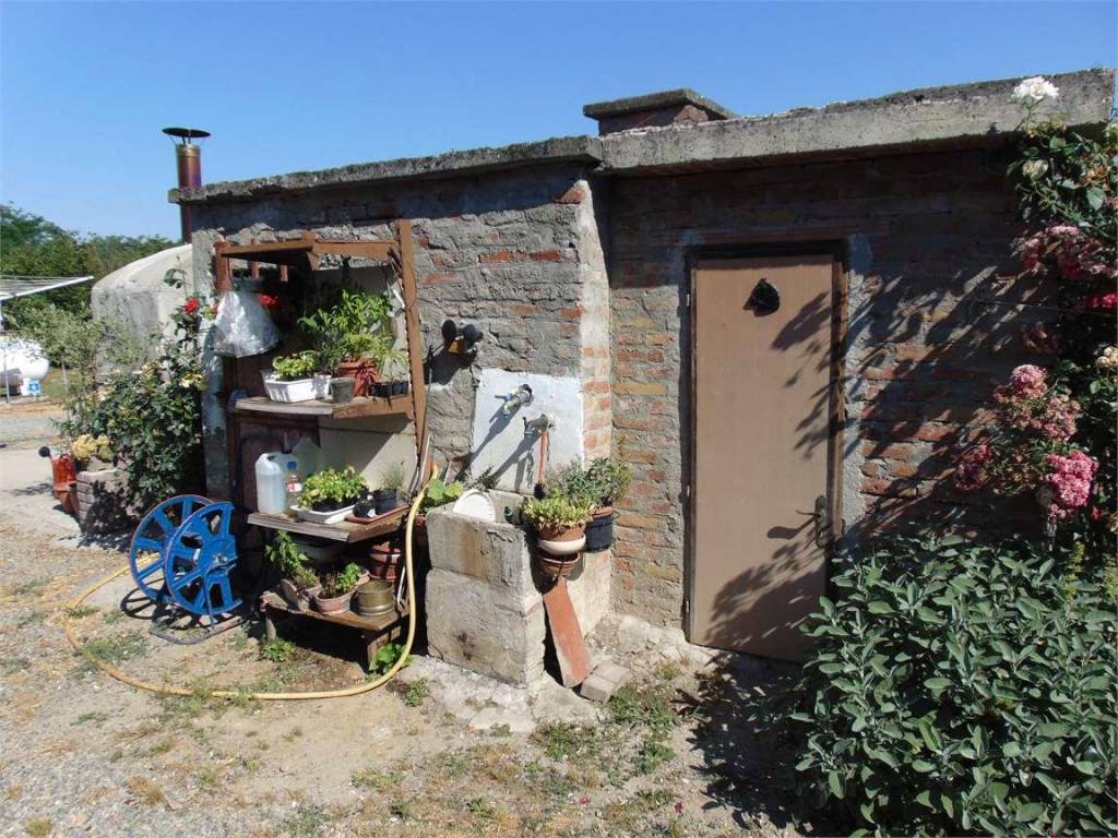 immagine annuncio 12 di 15