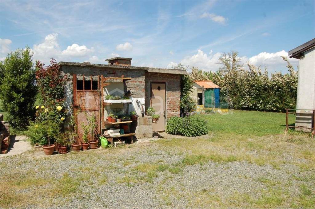 immagine annuncio 11 di 15