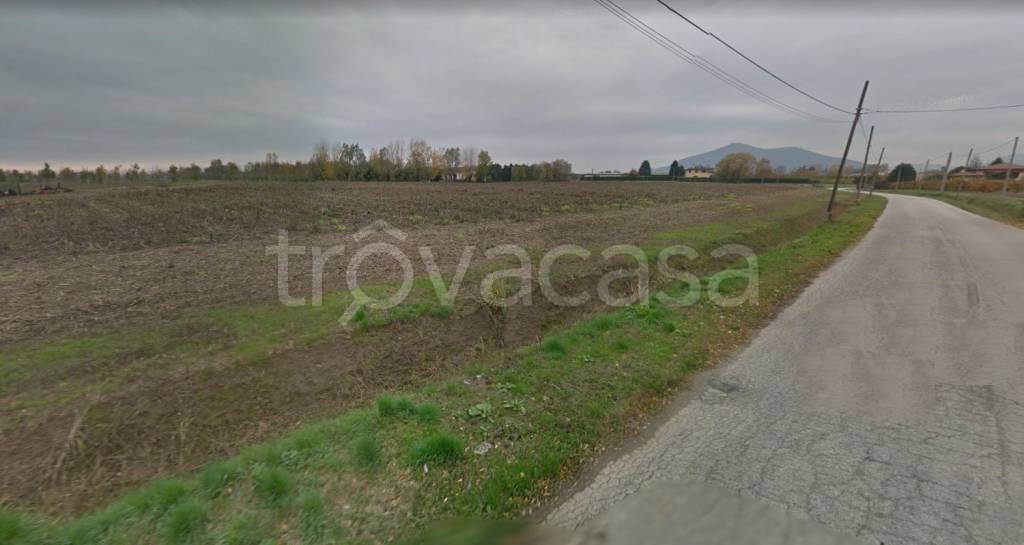 Terreno Agricolo in vendita a Pernumia via Trinità