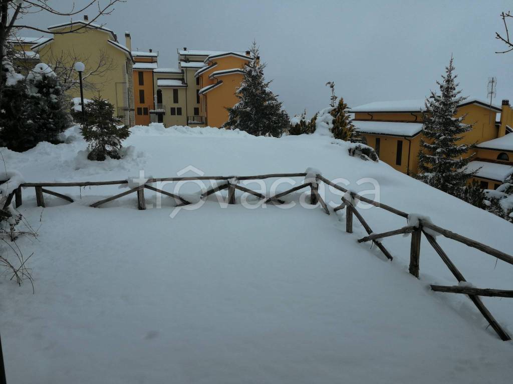immagine annuncio 2 di 12