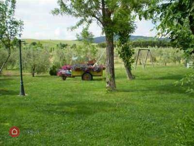 immagine annuncio 4 di 14