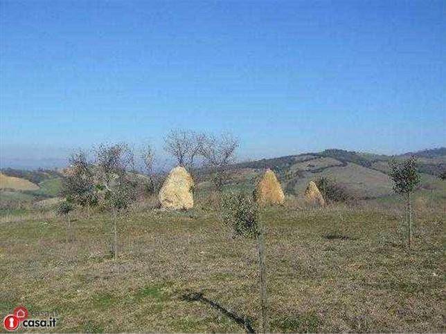 immagine annuncio 1 di 6