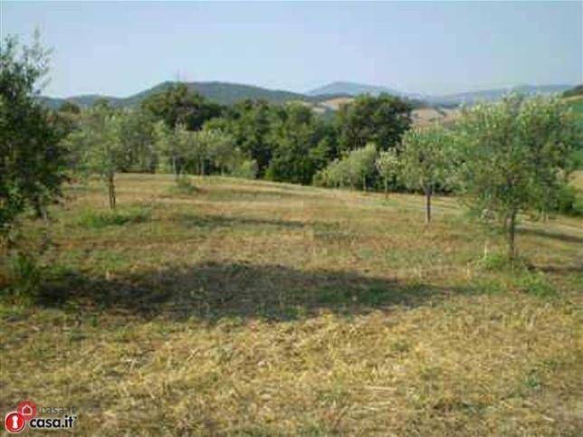 immagine annuncio 2 di 6