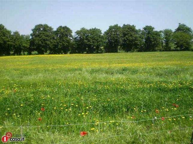 immagine annuncio 7 di 8