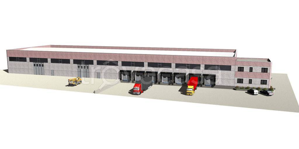 immagine annuncio 3 di 11