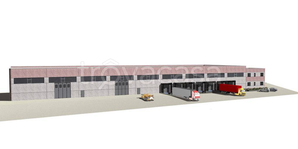 immagine annuncio 5 di 11