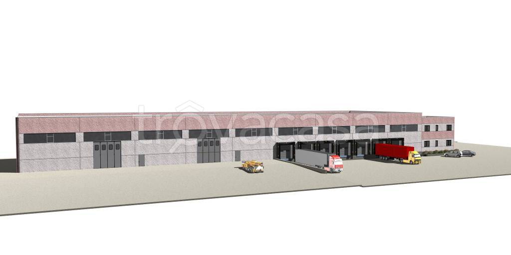 immagine annuncio 6 di 11