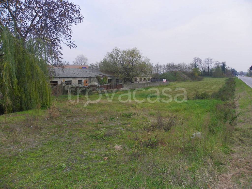 immagine annuncio 7 di 11