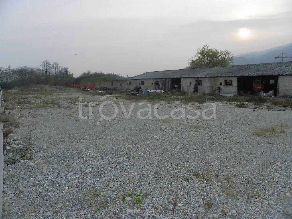 immagine annuncio 9 di 11